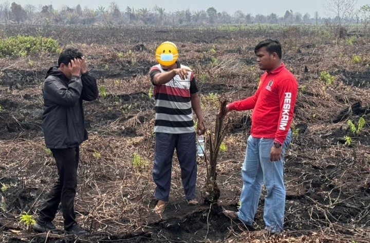 Beraktivitas di Kawasan Hutan Tanpa Izin, YS Ditetapkan Tersangka oleh Polres Bengkalis