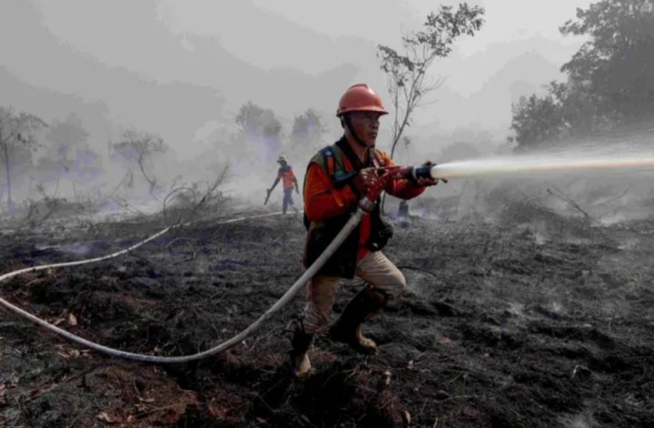 Alasan Karhutla di Gambut Sulit Dipadamkan