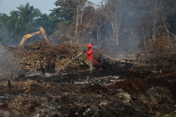 Bupati Afni Turun Langsung Padamkan Karhutla di Tasik Betung, Bara Gambut Masih Mengancam