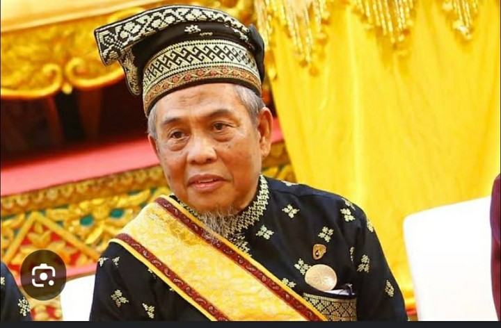 Ketua Umum DPH LAMR Provinsi Riau, Datuk Seri H.Taufik Ikram Jamil.