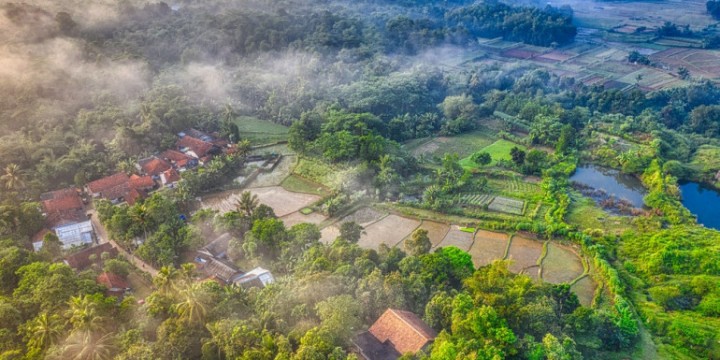 Ternyata Pemerintah Tak Danai Program Transformasi Digital Desa