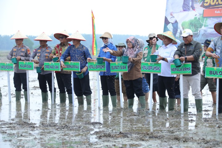 Kementan Tanam Serempak 50.000 Hektare, Siak Soroti Kendala Air Sawah