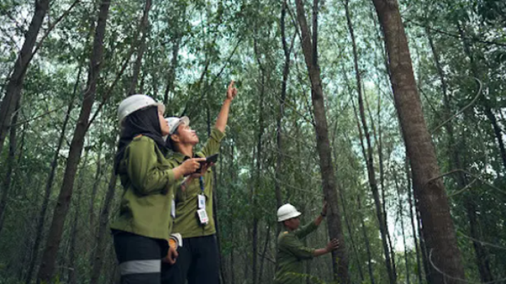 Di Balik Selembar Kertas, Ada Perjuangan Menjaga Hutan Gambut Riau