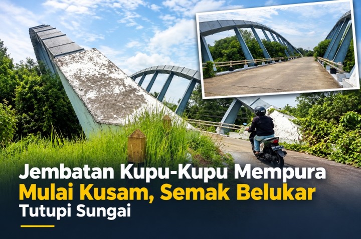 Foto jembatan kupu kupu Mempura ya g ditumbuhi semak belukar 