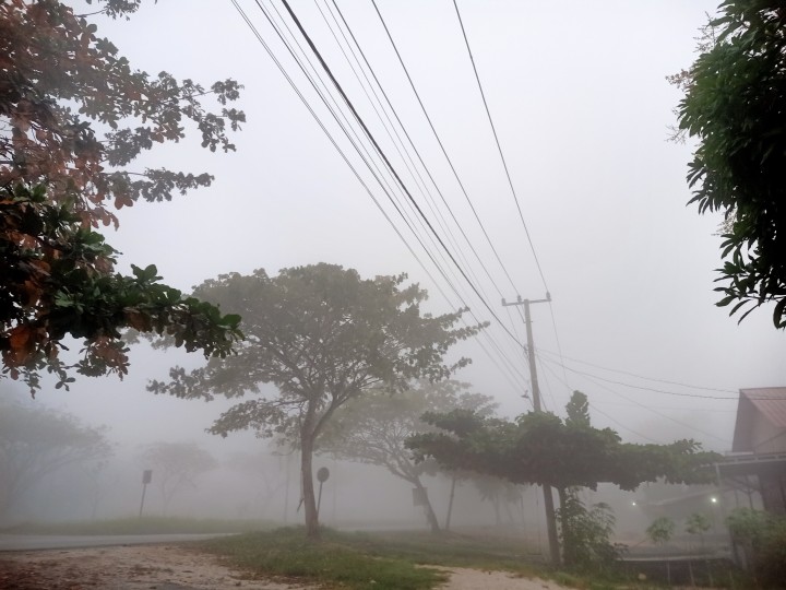 Kabut Asap Kembali Selimuti Siak, BPBD Pastikan Tak Ada Hotspot
