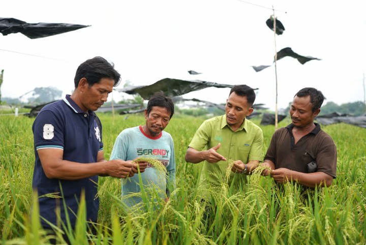 Kelompok Tani Tanjung Pulai saat mendapatkan pendampingan dari Mitra Bina CD RAPP dalam pengelolaan lahan dan budidaya pertanian.