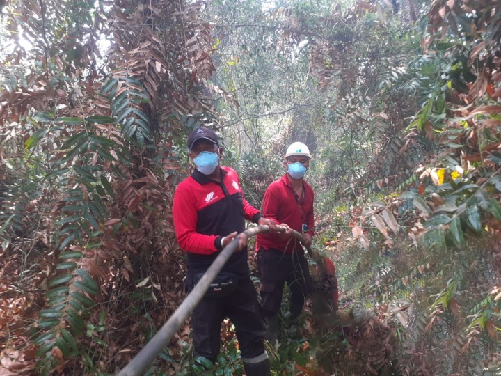 Kolaborasi Atasi Karhutla, Tim Gabungan Satgas dan PTPN IV PalmCo Lokalisasi Titik Api di Kalsel dan Riau