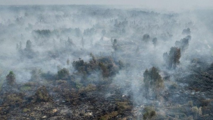 Bareskrim Polri Tetapkan 9 Korporasi Sebagai Tersangka Karhutla di Kalimantan 
