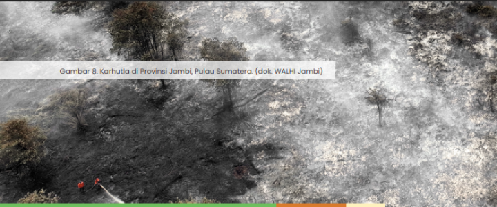 105.972 Hektare Lahan di Sumatera Selatan Terbakar, 128 TKP Dalam Penyidikan Polda